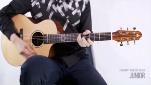 Covenant Guitar Junior J 36 inch Solid Top Acoustic Guitar including Soft Case and Accessories