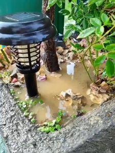 สารปรับปรุงดิน 200g สารกระตุ้นดิน แก้ปัญหาดินเปรี้ยว ดินเค็ม ดินแข็ง ใช้ได้กับพืชทุกชนิด สร้างสุขภาพผิวหน้า สารบำรุงดิน, สารกระตุ้นดิน ไม่ทำลายสิ่งแวดล้อม สร้างสุขภาพดิน