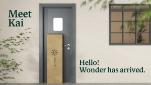 Zinus Bed Frame Kai Industrial