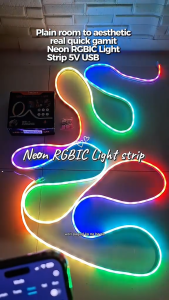 AceDeal [Support Lalamove Bulk Orders] Neon RGBIC Light Strip 5V USB Bluetooth App Remote Control Dimming Change Color Music Sync LED Strip Light Flexible Outdoor Waterproof Neon Light Running Flow Neon Strip E-Sports Room Home Decoration