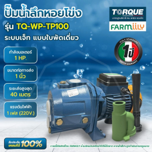 ปั๊มน้ำลึกหอยโข่ง 1 HP TORQUE TQ-WP-TP100 จำหน่ายโดย Montree More