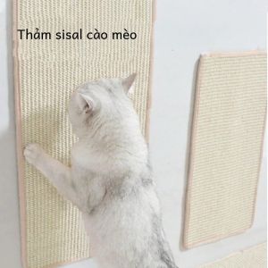 Tự Nhiên Sisal Mèo Scratcher Ban Đôi Tầng Đồ Chơi Thú Cưng Bảo Vệ Ghế Sofa Đệm Chân Thảm Chăn Bài Cho Mèo