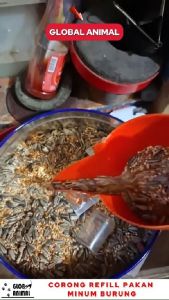 CORONG REFILL PAKAN MINUM BURUNG wadah alat isi ulang makanan ayam