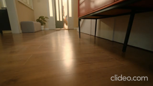 tp-link Tapo RV30 Max Plus Robot Vacuum with Auto-Empty Dock หุ่นยนต์ดูดฝุ่น by memory