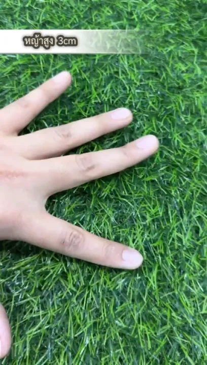 เนรมิตสวนสวย! 7 อันดับหญ้าเทียมและอุปกรณ์ตกแต่งสวนยอดนิยมประจำปี 2025