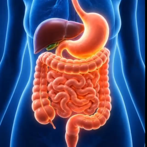 Biocore Vitaflow | Circulation & Digestive Wellness Support | 60 Caps
