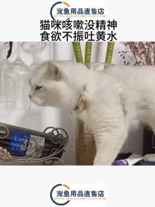 💗🙋♀️💗独拜250ml 猫狗通用独拜抗病毒提高免疫力解决窝咳防犬猫瘟猫传腹