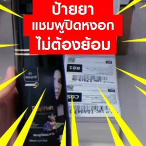 DayHerb แชมพูสมุนไพร แชมพูปิดผมขาว 2 ขวด ปิดผมขาวได้ใน 5 นาที