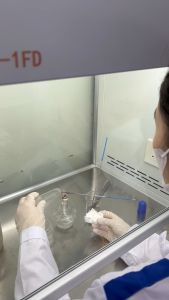 Giống thạch nấm bào ngư xám giống nấm cấp 1 nấm sò xám 30gr hàng có sẵn - 3C Farm