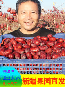  Xinjiang Hetian Jujube Natural Dried Premium Original Red Jujube Snack for Pregnant Women Non-Wash Required