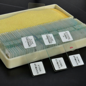 SAGA | High-Definition Bio Optical Microscope Accessories