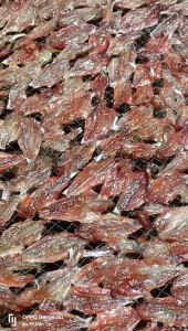 Khô Cá Chỉ ĐỏTươi Ngon 3 Nắng Thịt Ngọt Thơm Đặc Biệt- VỰA KHÔ MINH TRIẾT