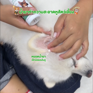 Dr.Zkin ESSETIAL EAR CLEANSER น้ำยาทำความสะอาดหู สำหรับสัตว์เลี้ยง ขนาด 110 ml. #130500