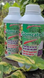 [Freeship Max] Phân bón GOMCATE SỮA chai 500ml giúp phục hồi kích thích bộ rễ hạn chẽ nghẹn đòng_VTNN TIEN KHOA