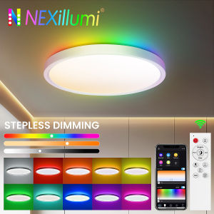 RGBIC LED Ceiling Light Dimmable with APP & Remote Control 16 Million Colors Smart Voice Control Music Mode for Living Room