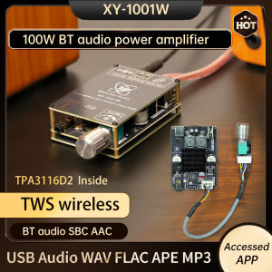 XY-1001W DC 9-24V Power Supply Single Channel 100W Bluetooth Audio Amplifier Board Module TWS Box True Wireless TPA3116