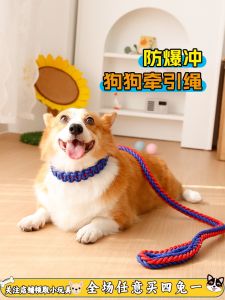 Durable Dog Leash Collar Explosive Proof Golden Retriever Pet Walking Rope for Medium to Large Dogs Non Extensible Handle