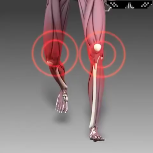 Bee Venom Cream Joint Relief Ointment Pain Relief knee Propolis Cream Muscle Arthritis Gel Bee Venom Joint Ointment Propolis Gel for Joint Relief for Whole Body Joint 20g