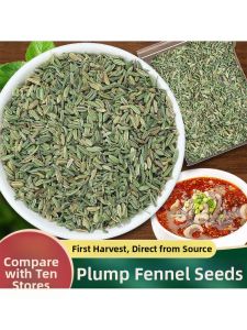 Fennel Seeds Spice 500g