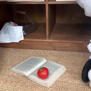 XIXITIAO 2024ผู้ชายและผู้หญิงรองเท้าแตะผ้าฝ้ายฤดูหนาวคู่แฟชั่นสบายๆถุงอุ่นบ้านส้นรองเท้าขนปุยน่าเกลียดและน่ารักสุนัข