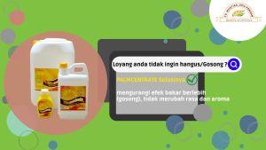 PALMCENTRATE Oles Loyang 500 ml