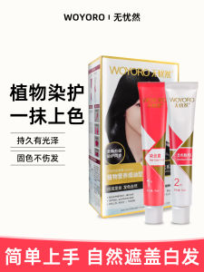 Máy Sấy Tóc WOYORO Black Brown Hair Dye Gel Nourishing Plant-Based Hair Coloring Cream for Gray Hair in Tube AB Agent
