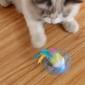 Mainan Kucing  Warna-warni/ Mainan Kucing Kandang Besi Tikus Bola/ Mainan Kucing Interaktif Mewah Tikus