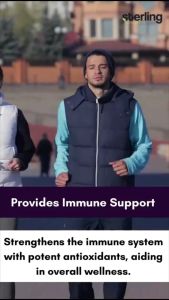 BLACK SEED OIL PREMIUM ***NIGEL PLUS HABBATHUS SAUDA OIL 100ML* 100% Cold Pressed - Premium Vegan Soft gels 120s TQ+