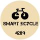 Smart Bicycle