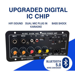 D10 Bluetooth 5.0 Digital Amplifier Board With Reverb Dual MIC USB/TF/FM 220V/12V/24V For 10 Speakers