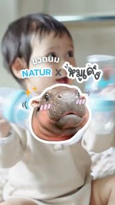 NATUR  เนเจอร์ X หมูเด้ง ขวดนมคอกว้างลายหมูเด้ง 4oz/8oz(ชริ้งฟิลม์ 1 ขวด)