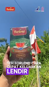 FORLEND - Teh Gurah Mengatasi Masalah Lendir Batuk Berdahak & Detoksifikasi Tubuh - 15 Kantong 1 Box