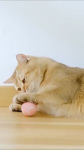 Smart Interactive Cat Toy Ball: A Rechargeable Self-Rolling Indoor Cat Entertainment