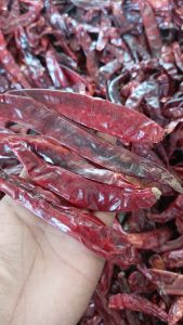 1kg CABE MERAH BESAR ( SUPER ) KERING TANPA TANGKAI