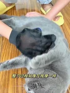2-in-1 Pet Grooming Gloves Silicone Deshedding Brush & Massager for Dogs Cats Removes Loose Hair Boosts Circulation Bathing
