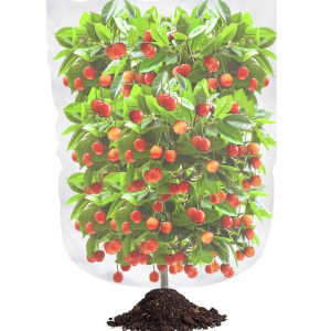 ถุงป้องกันพืชสวนตาข่ายพร้อมสายรัดซิปสวนแมลงตาข่ายโปร่งใส BIRD Plant Barrier หน้าจอ