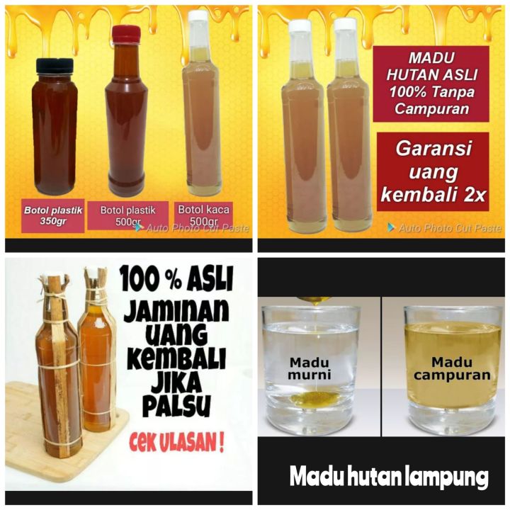 madu asli murni