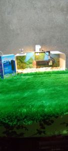 lampu led aquarium 5v putih 8mata