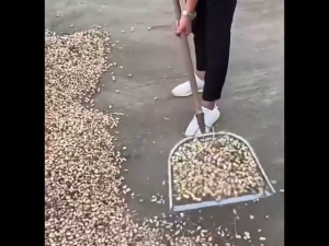 Leaking Soil Shovel Steel Agricultural Filter Screen Sieve Soil Shovel Peanut Sieve