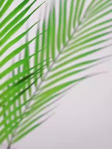 ＜1202＞  Cross-Border Car Navigation Dashboard magsafe Mobile Phone Bracket Vacuum Adsorption Magnetic Car Holder Wireless Charger