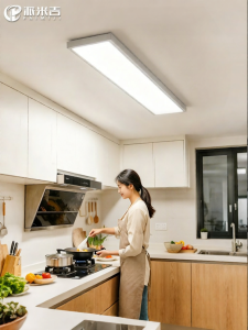 PAIMIJI | Modern Minimalist Ultra-thin Flat Ceiling Light