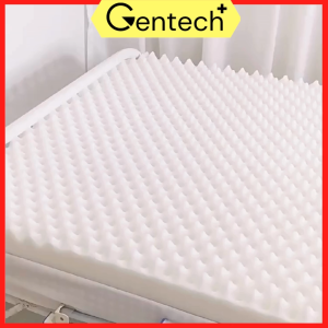 Ice Silk Sponge Bed Mattress Breathable & Ventilation Washable Removable Cover For Home Use Bed
