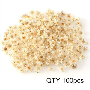 100/200pcs Artificial Dried Flower Little Star Flower DIY Craft Epoxy Resin Candle Nail Art Epoxy Resin Filling Making Jewellery
