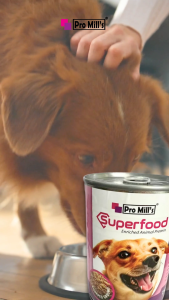 Pro Mills Superfood Enriched Animal Protein Dog Canned Food 400gm/Tin Anjing PRO MILLS SUPERFOOD