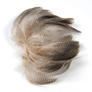 100PCS/Bag Natural Barred Mallard Duck Flank Feathers Wild Goose Hair for Fly Wings Tails Streamers Fly Tying Material
