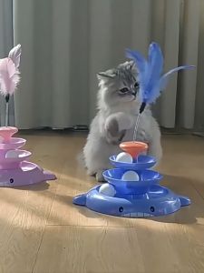 รางบอลแมว ของเล่นแมว ด้วยขนนก เรียกกรงเล็บไร้เงา สามารถหมุนได้360องศา แข็งแรงทนทาน ถอดออกได้ ไม้ตกแมว รางบอล4ชั้น มีที่เสียบไม้ตกแมว รางบอลทาวเวอร์4ชั้น ลูกบอลแมว