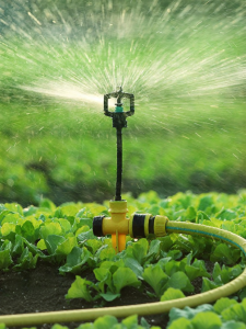 360 Degrees Rotating Automatic Sprinkler Head
