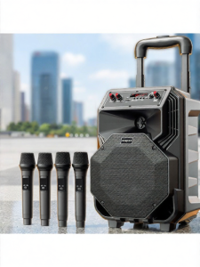 HUABAO | Square Dance Bluetooth Speaker Portable Rolling