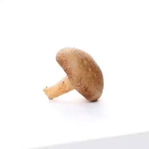 Shiitake Mushroom Dried Fruit and Vegetable Crisp Chips Instant Dried Vegetables 250g (Extremely fast delivery)