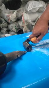 TERPAL PLASTIK A3 6x8 Meter CAP SINGA MAS | Terpal Plastik Murah Tebal Serbaguna Berkualitas Tinggi